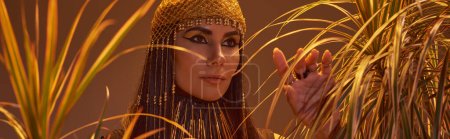 Mujer con estilo en tocado egipcio y collar tocando plantas del desierto aisladas en marrón, bandera