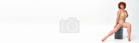 Téléchargez les photos : Pleine longueur de plus la taille rousse femme en lingerie assis sur la boîte en bois sur blanc, bannière horizontale - en image libre de droit