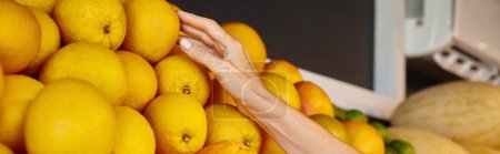 abgeschnittene Ansicht der Hand einer reifen fröhlichen Frau, die im Lebensmittelgeschäft Bio-Orangen pflückt, Banner