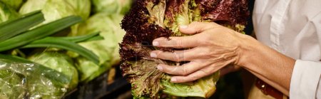 Photo for Cropped view of mature joyous woman holding red lettuce in hands while at grocery store, banner - Royalty Free Image