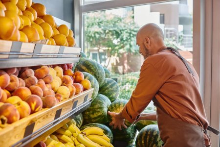 bearded mature salesman putting fresh watermelons on counter next to other fruits at grocery store