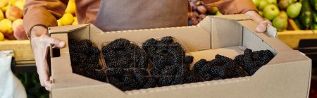 Photo for Cropped view of mature seller showing delicious blackberries at camera at grocery store, banner - Royalty Free Image