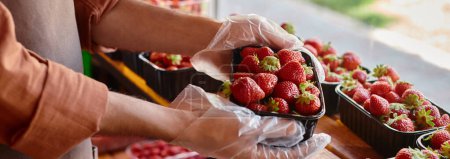 Foto de Vista recortada del vendedor maduro sosteniendo paquete de fresas frescas en las manos por ventana en la tienda, bandera - Imagen libre de derechos