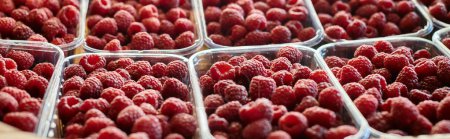 Photo for Object photo of packed juicy vibrant delicious raspberries at grocery store, farmers market, banner - Royalty Free Image