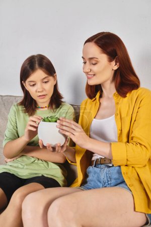 mother showing potted succulent plant to teenage daughter on couch in modern living room at home