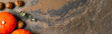 Foto de Tema otoñal de acción de gracias, vista superior de calabazas anaranjadas maduras cerca de nueces en superficie de piedra texturizada - Imagen libre de derechos