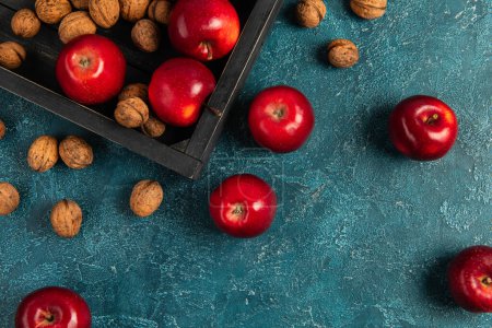Foto de Concepto de acción de gracias, bandeja de madera negra con manzanas rojas y nueces en la superficie de textura azul - Imagen libre de derechos