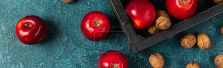 plateau en bois noir et pommes rouges avec noix sur surface texturée bleue, récolte d'action de grâce, bannière