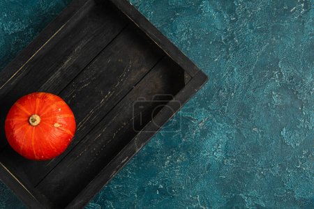 thanksgiving backdrop with ripe orange pumpkin in black wooden tray on blue textured surface