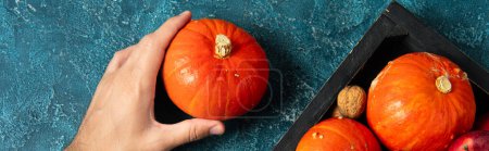 thanksgiving theme, cropped view of man holding ripe pumpkin near tray with autumnal harvest, banner