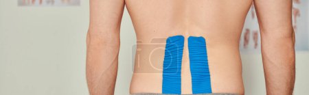 Photo for Cropped view of man with kinesiological tapes on his back during appointment, healthcare, banner - Royalty Free Image