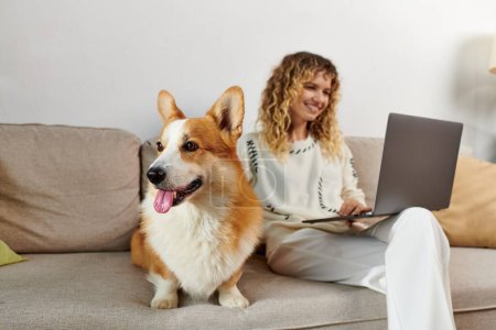 Niedliche Corgi Hund sitzt auf der Couch in der Nähe glücklich lockige Frau mit Laptop während der Arbeit von zu Hause aus