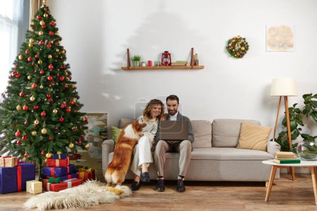 Téléchargez les photos : Homme barbu à l'aide d'un ordinateur portable et assis sur le canapé avec femme bouclée et chien de corgi mignon près de l'arbre de Noël - en image libre de droit