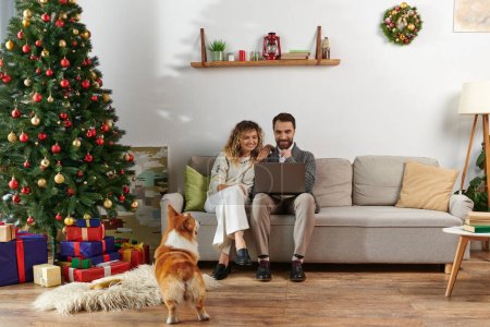 bärtiger Mann mit Laptop und auf Couch mit lockiger Frau in der Nähe von niedlichem Corgi-Hund und Weihnachtsbaum
