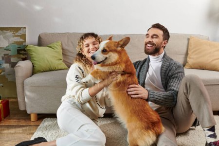 freudiger Mann und Frau lächelnd und spielend mit niedlichem Corgi-Hund in moderner Wohnung, glückliche Momente