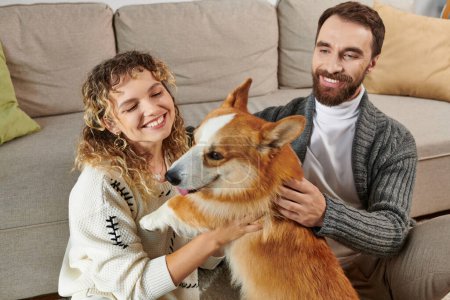 joyful man and woman smiling and playing with cute corgi dog in modern apartment, happy moments