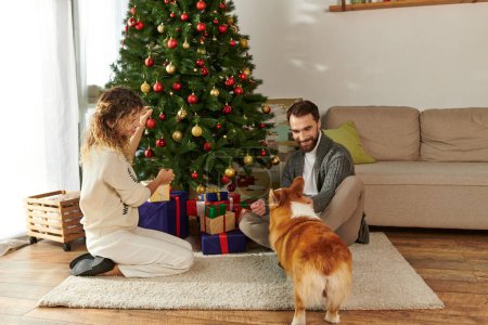 glückliches Paar in Winterkleidung schmückt Weihnachtsbaum neben verpackten Geschenken und Corgi-Hund