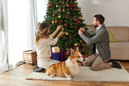 joyful couple in winter clothing decorating Christmas tree with baubles near presents and corgi dog