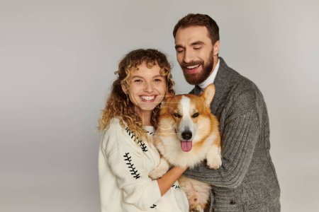 Photo for Family portrait, joyful man and woman in winter attire posing with cute corgi on grey background - Royalty Free Image
