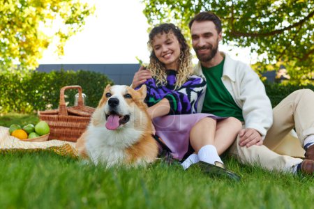 glückliche lockige Frau und fröhlicher Mann genießen Picknick mit niedlichem Corgi-Hund auf grünem Rasen im Park