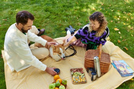 vista superior de la feliz pareja abrazando lindo perro corgi mientras tiene picnic en el césped verde en el parque
