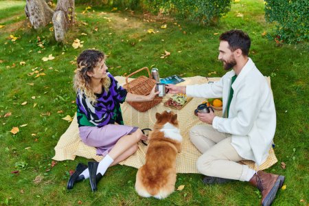 happy curly woman and cheerful man having picnic near cute corgi dog on green lawn in park