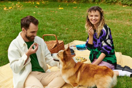 happy couple eating delicious fig and having picnic with cute corgi dog on green lawn in park