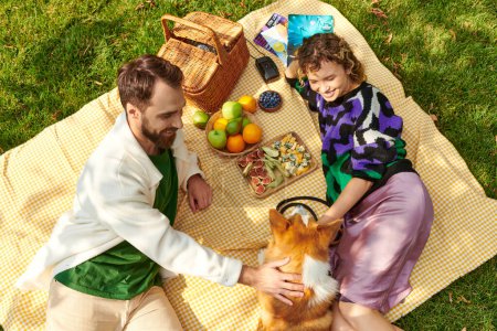 happy couple enjoying picnic, resting and cuddling cute corgi dog on blanket next to delicious food