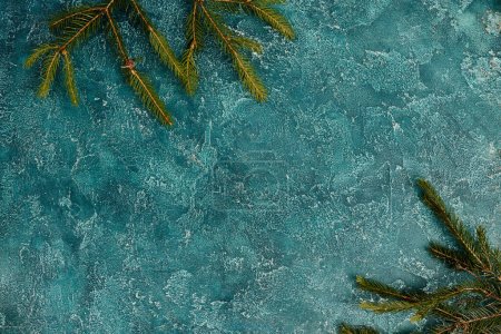 Draufsicht auf grüne Kiefernzweige auf blau strukturiertem Hintergrund mit Leerraum, Weihnachtshintergrund