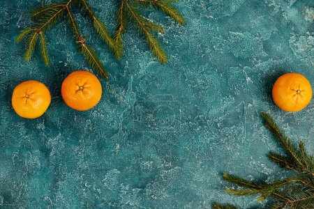 mandarins and green pine branches on blue textured surface, Christmas backdrop with empty space
