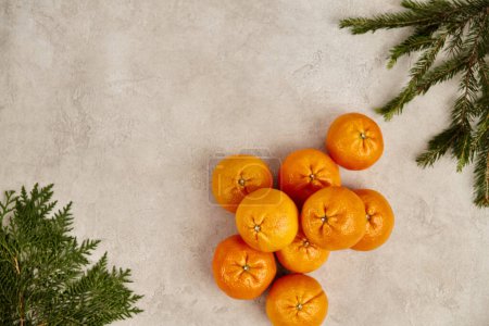 Fondo navideño, mandarinas maduras con ramas de enebro y pino sobre superficie texturizada gris