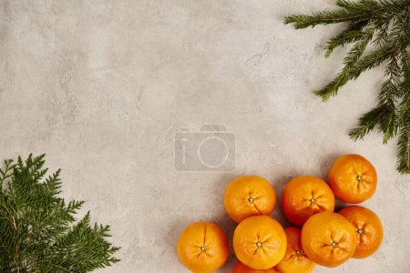 Weihnachtskulisse, Mandarinen in der Nähe von Wacholder und Kiefernzweigen auf strukturierter Oberfläche mit leerem Raum