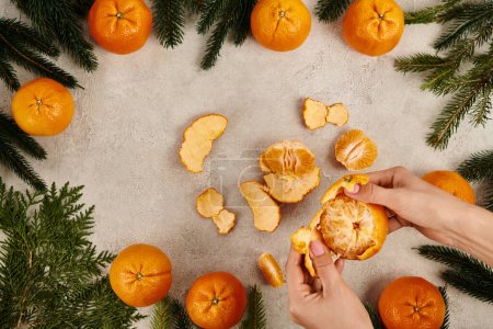 abgeschnittene Ansicht einer Frau, die reife Mandarinen in der Nähe von Wacholder- und Kiefernzweigen schält, Weihnachtskonzept