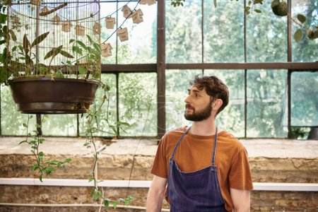 gut aussehender und fröhlicher Gärtner in Jeansschürze untersucht frisches Laub im Vogelkäfig im Gewächshaus
