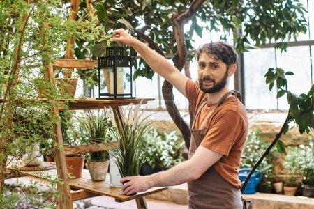 happy bearded gardener in linen apron holding vintage lamp near rack with plants in greenhouse
