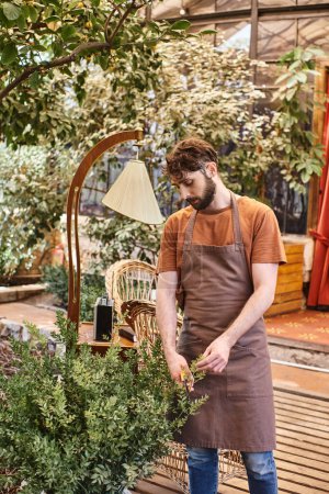 jardinero profesional en delantal de lino rama de corte en arbusto con tijeras de jardinería en invernadero