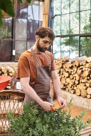 professional gardener in linen apron cutting branch on bush with gardening scissors in greenhouse