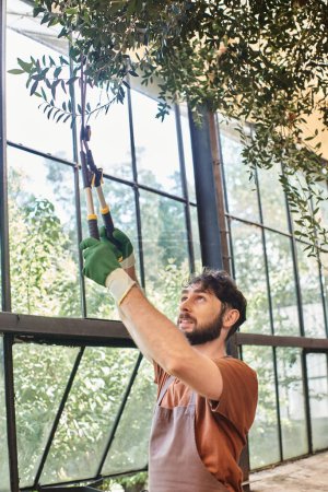 Foto de Hermoso jardinero en delantal de lino rama de corte en el árbol con grandes tijeras de jardinería en invernadero - Imagen libre de derechos