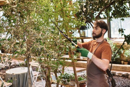 hermoso jardinero en delantal de lino rama de corte en el árbol con grandes tijeras de jardinería en invernadero