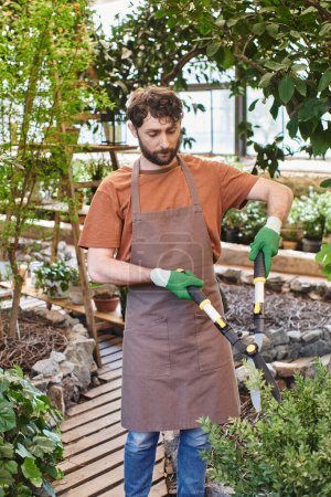 Jardinero barbudo en delantal de lino recortando arbusto verde con grandes tijeras de jardinería en invernadero