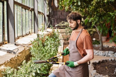 Jardinero barbudo en guantes y delantal recortando arbusto verde con grandes tijeras de jardinería en invernadero