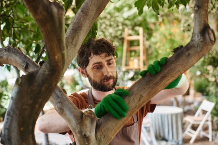 schöner bärtiger Gärtner in Handschuhen untersucht Baum in modernem Gewächshaus, Gartenbau, Konzept