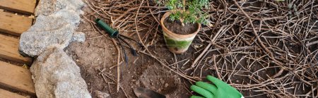 Pflanzbanner, Topfpflanzen und Gartengeräte auf dem Boden im Gewächshaus pflanzen