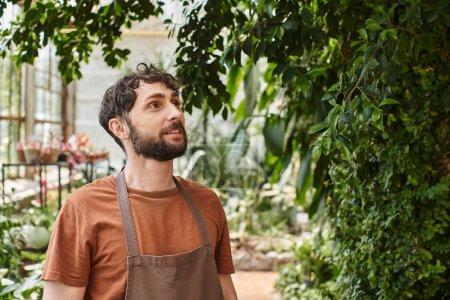 handsome and bearded gardener in linen apron looking at green foliage on tree in greenhouse