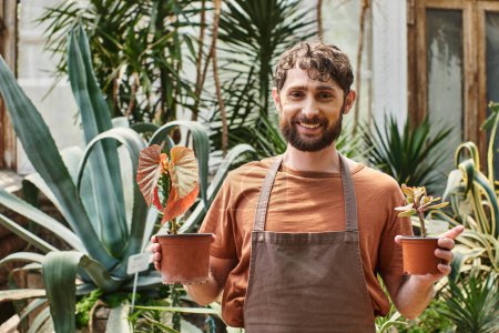 happy bearded gardener in linen apron holding potted plants in greenhouse, horticulture concept
