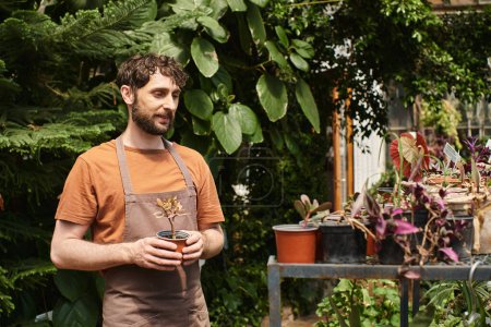 jardinero barbudo feliz en delantal de lino que sostiene la planta en maceta en invernadero, concepto de horticultura