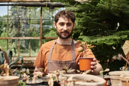 happy bearded gardener in linen apron holding potted plant in greenhouse, horticulture concept