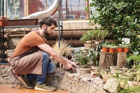 Téléchargez les photos : Beau et barbu jardinier professionnel en tablier de lin travaillant en serre avec des plantes - en image libre de droit