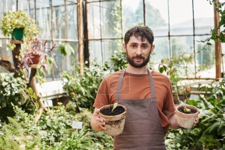 Téléchargez les photos : Beau jardinier barbu en tablier de lin souriant et tenant des plantes dans des pots en serre - en image libre de droit