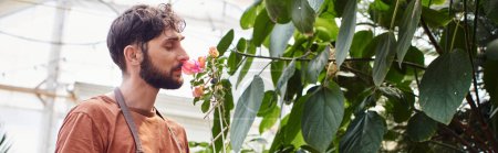 handsome and bearded gardener in linen apron holding plant in greenhouse, smelling orchid banner